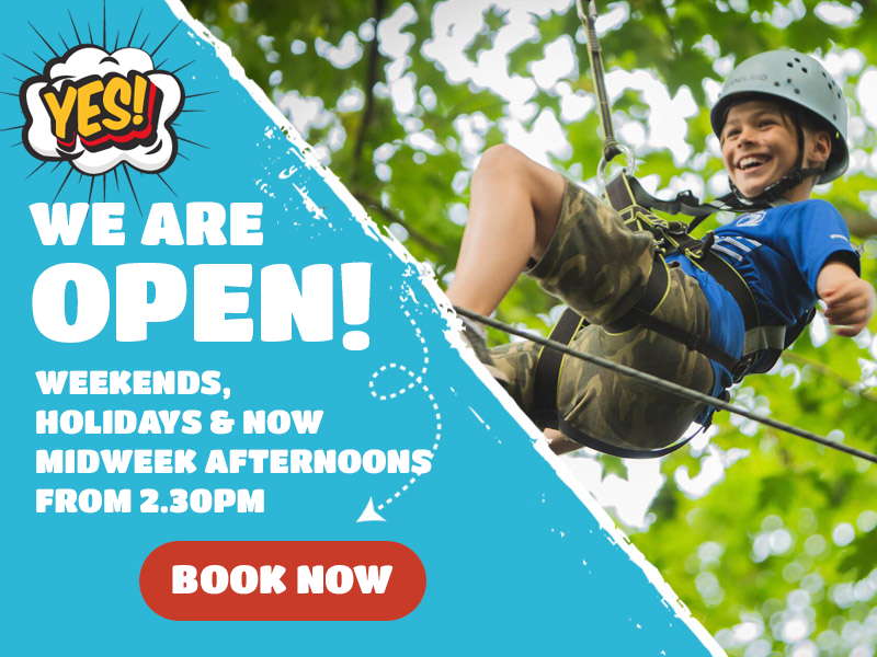 Summer Camps At Squirrel S Scramble Adventure Tree Park