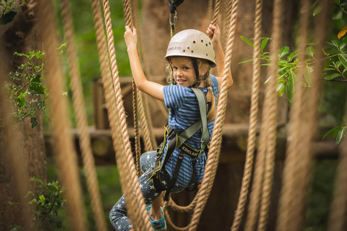 Squirrel's Scramble Tree Adventure Park