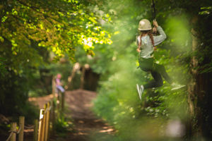 Squirrel's Scramble Tree Adventure Park