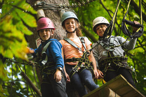Squirrel's Scramble Tree Adventure Park