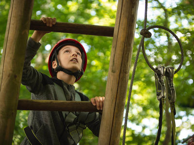 Squirrel's Scramble Tree Adventure Park